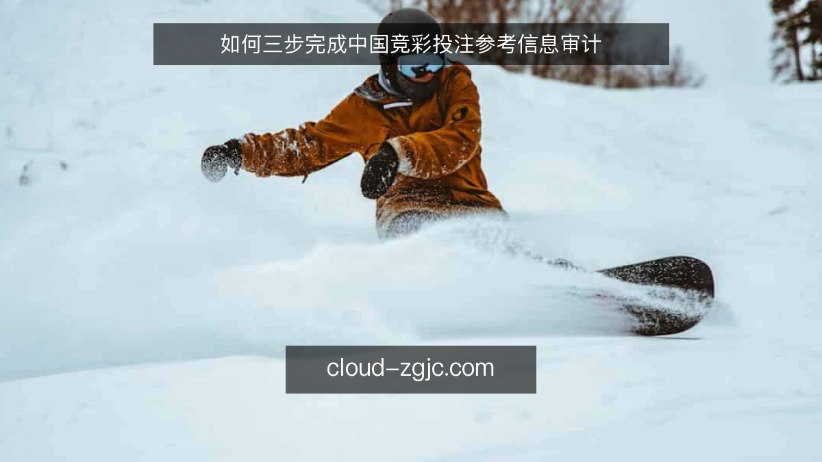 如何三步完成中国竞彩投注参考信息审计