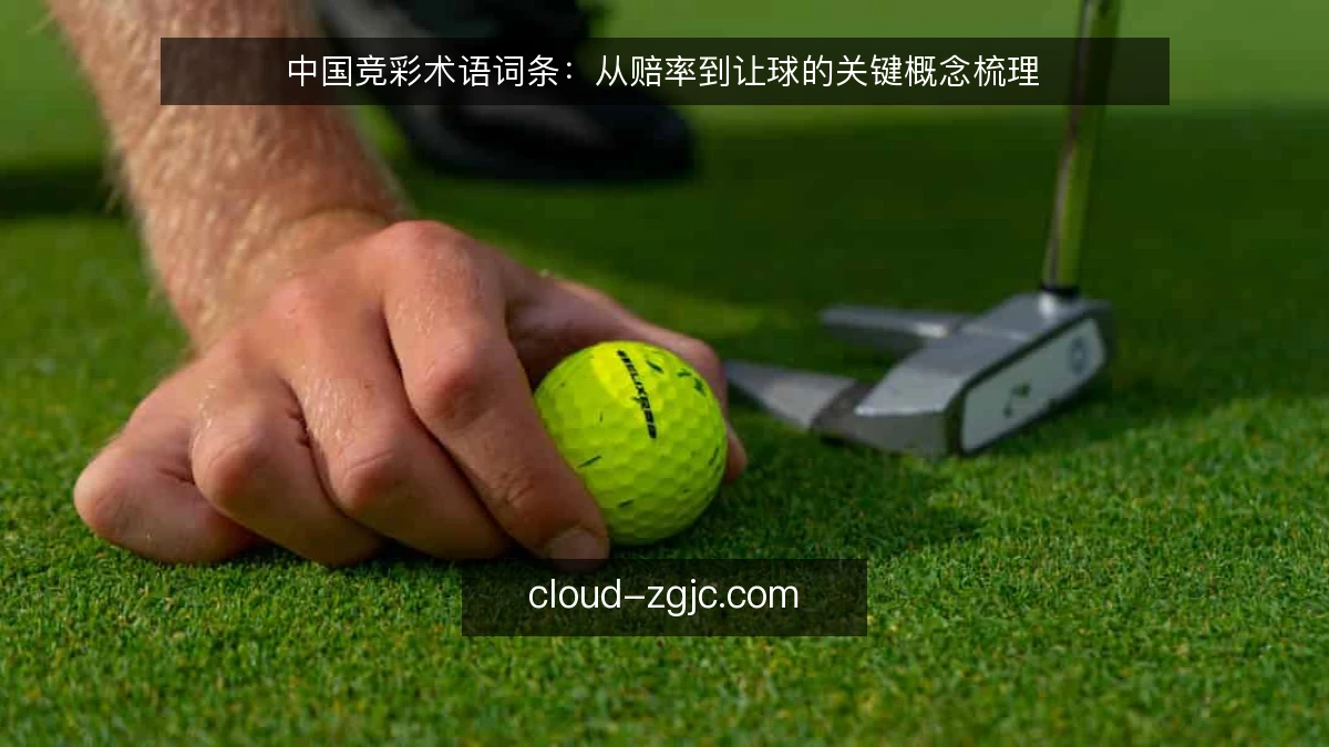 中国竞彩术语词条：从赔率到让球的关键概念梳理