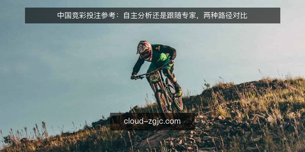 中国竞彩投注参考:自主分析还是跟随专家,两种路径对比 — 先明确决策标准:分析路径怎么选 配图