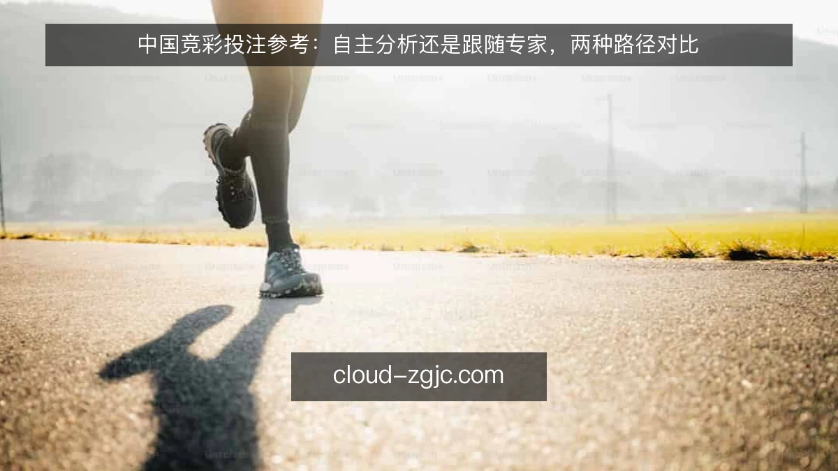 中国竞彩投注参考:自主分析还是跟随专家,两种路径对比