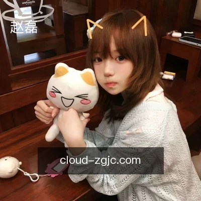 赵磊
